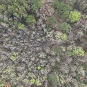 DJI_20260321212241_0074_D