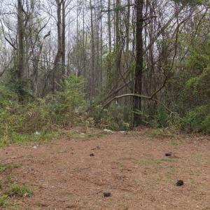 DJI_20260321213843_0115_D