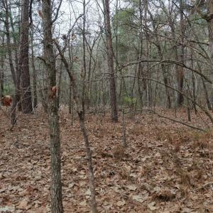 DJI_20260321213324_0100_D