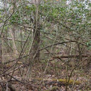 DJI_20260321221111_0144_D