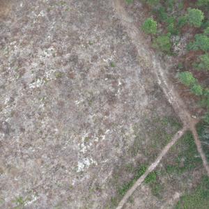 DJI_20260321212107_0067_D