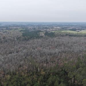 DJI_20260321205043_0045_D