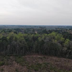 DJI_20260321203546_0011_D