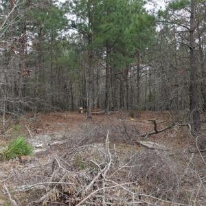 DJI_20260321212807_0078_D