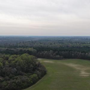 DJI_20260321204447_0029_D