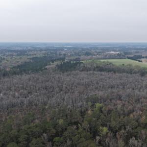 DJI_20260321205137_0047_D