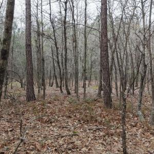 DJI_20260321213230_0095_D