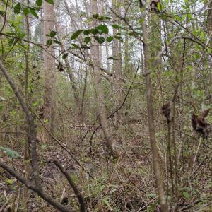 DJI_20260321220834_0137_D