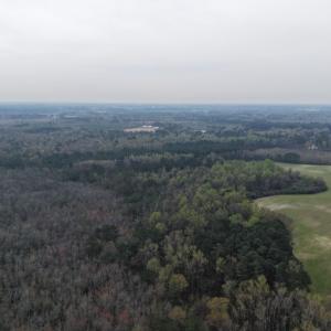 DJI_20260321205342_0052_D