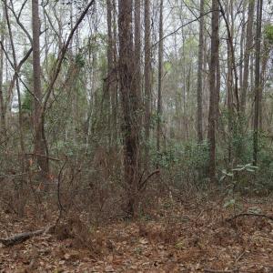 DJI_20260321213408_0104_D