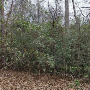 DJI_20260321213316_0099_D