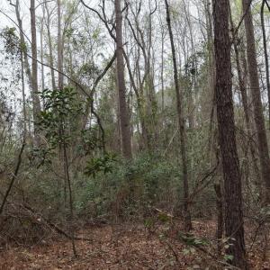 DJI_20260321214154_0123_D