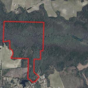 Screenshot_5-2-2026_234912_id.land