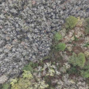 DJI_20260321212342_0077_D