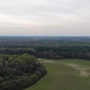 DJI_20260321204447_0029_D