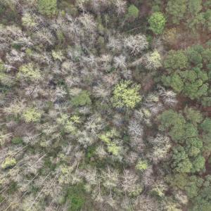 DJI_20260321212230_0073_D