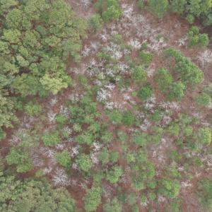 DJI_20260321212146_0069_D