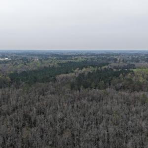 DJI_20260321204326_0026_D