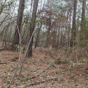 DJI_20260321214049_0118_D