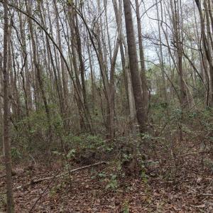 DJI_20260321214039_0117_D