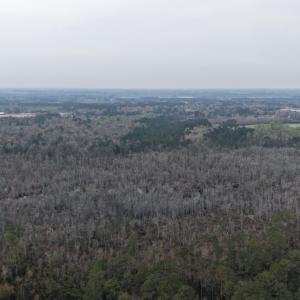 DJI_20260321205113_0046_D