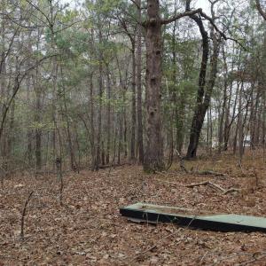 DJI_20260321213241_0096_D