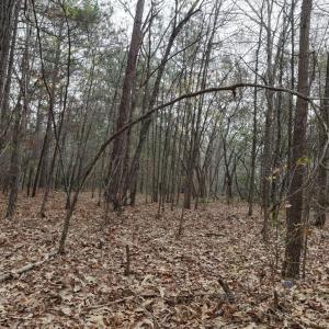 DJI_20260321214136_0122_D