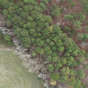 DJI_20260321212134_0068_D