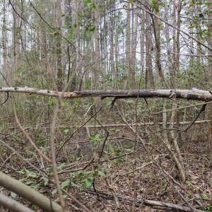 DJI_20260321220904_0139_D