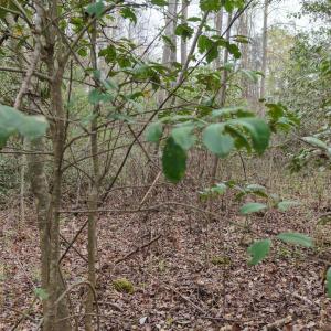 DJI_20260321220805_0136_D