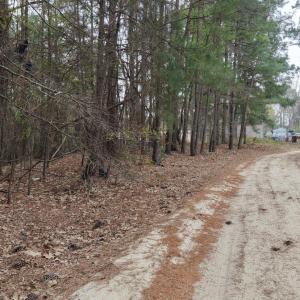 DJI_20260321213647_0111_D