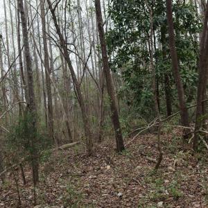 DJI_20260321214052_0119_D