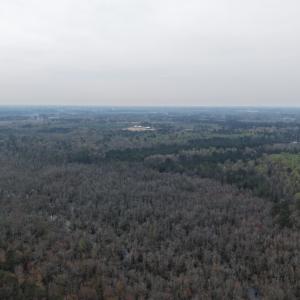 DJI_20260321205315_0051_D