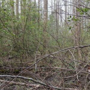 DJI_20260321220936_0140_D