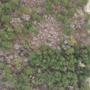 DJI_20260321212012_0063_D