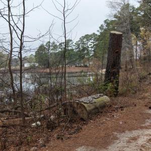 DJI_20260321213758_0113_D