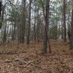 DJI_20260321213244_0097_D