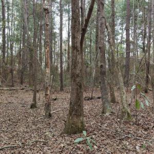 DJI_20260321213600_0109_D