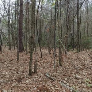 DJI_20260321213425_0105_D