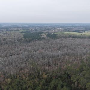 DJI_20260321205043_0045_D