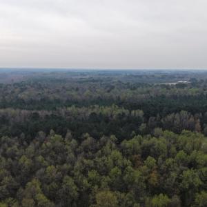 DJI_20260321204425_0028_D