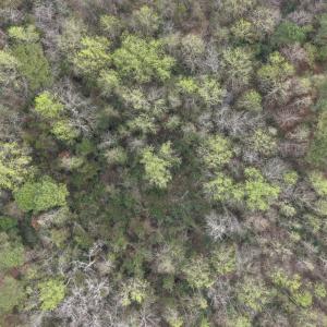 DJI_20260321212024_0064_D