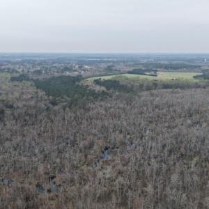 DJI_20260321205016_0043_D