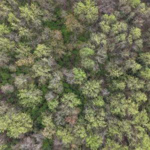 DJI_20260321212218_0072_D