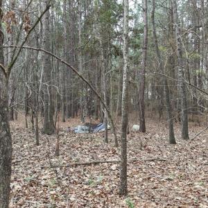 DJI_20260321213522_0106_D