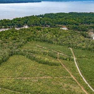 Screenshot 2026-02-05 at 2.45.36PM