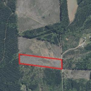 Screenshot_6-2-2026_01236_id.land