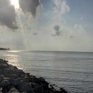 Screen Shot 2026-02-06 at 2.38.22 PM