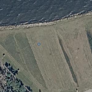 Screen Shot 2026-02-06 at 2.39.50 PM