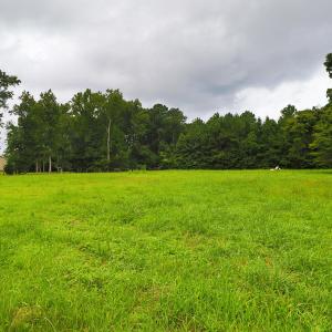 820 Laurel Road, Beaufort